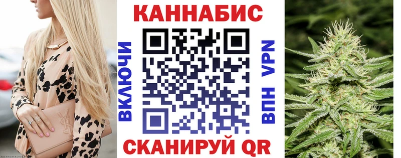 Конопля план  Сосновка 